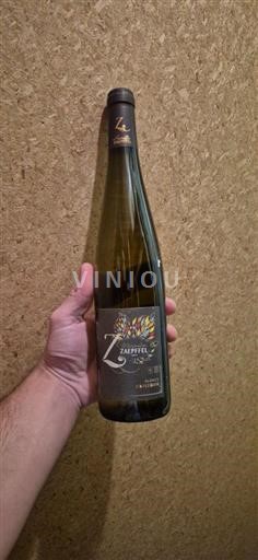 Alsace Zeyssolff Z Không niên vụ