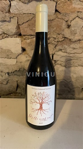 Bourgogne Domaine Emmanuel Samson Mille neuf cent quarante neuf 2023
