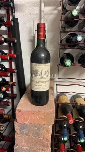 Bordeaux Margaux Château La Tour de Mons 2001