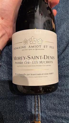 Burgundy Morey-Saint-Denis Premier Cru Domaine Amiot et Fils Premier Cru - Les Ruchots 2021