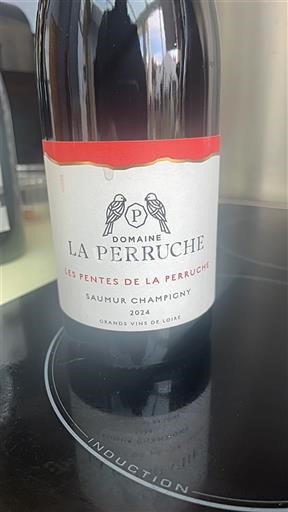 Thung lũng sông Loire Saumur-champigny Domaine La Perruche Les Pentes de la Perruche 2024