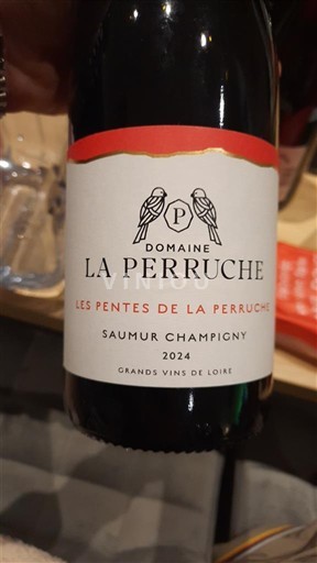 Loiren laakso Saumur-champigny Domaine La Perruche Les Pentes de la Perruche 2024