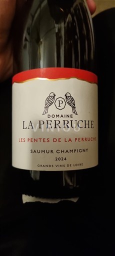 Vallée de la Loire Saumur-champigny Domaine La Perruche Les Pentes de la Perruche 2024
