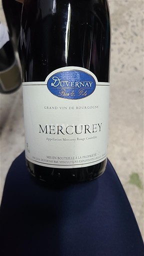 Burgundija Mercurey Duvernay 2022