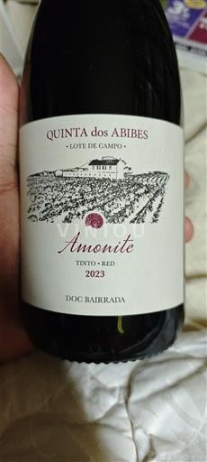 Portugal Bairrada Quinta dos Abibes Amonite 2023