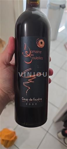Languedoc Malepère Domaine Des Souleilles Coup de Foudre 2009