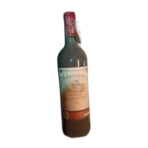 Bordeaux Montagne-saint-émilion Baron Arterac 2009