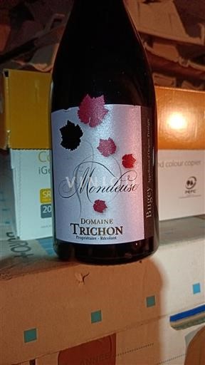 Savoie och Bugey Bugey Domaine Trichon Mondeuse 2022