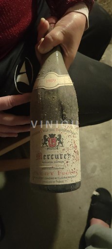 Borgogna Mercurey Launay-Horiot 1989