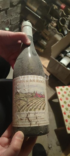 Borgogna Borgogna Aligoté Domaine Henri Naudin-Ferrand La Chatelaine de Bourgogne Senza annata