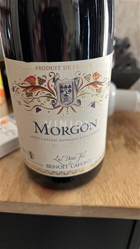Beaujolais Morgon Benoit Lafont Les Puits 2020