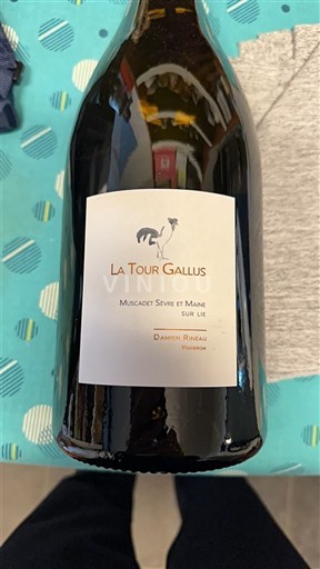 Valle della Loira Muscadet Sèvre et Maine La Tour Gallus 2023