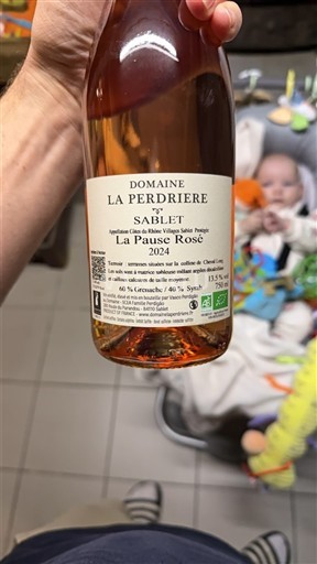 Thung lũng Rhône Không được chỉ định Domaine La Perdriere La Pause Rosé 2024