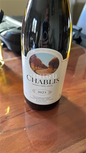 Burgund Chablis Domaine Daniel Bocquenet 2023