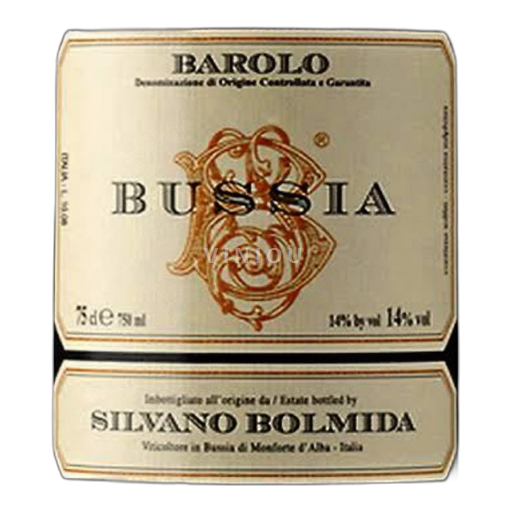 Piemonte Barolo Silvano Bolmida Bussia 2019