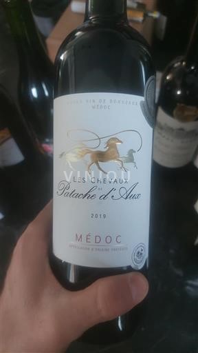 Vin Rouge sec Les Chevaux Patache Aux 2019 France Bordeaux Médoc AOC