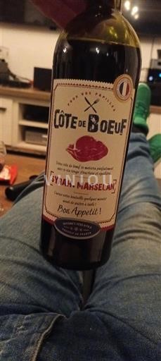 Languedoc-Roussillon Pays d'Oc Côte de Boeuf Syrah-Marselan 2024