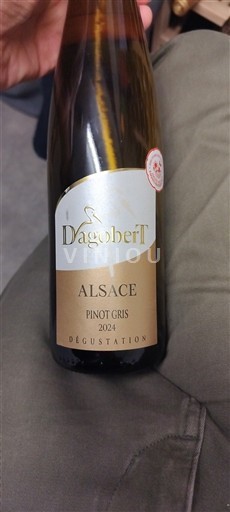 Alsacia Dagobert Dégustation 2024