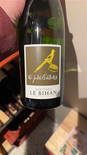 Jugozahod Côtes-de-Duras Mouthes Le Bihan La Pie Colette 2020