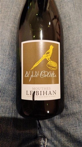 Sud-Ouest Côtes-de-duras Mouthes Le Bihan La Pie Colette 2020