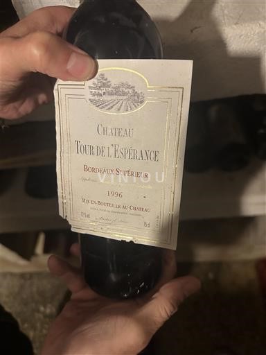 Bordéus Bordeaux Superior Château Tour de l'Espérance 1996