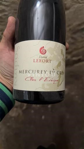 Burgundsko Mercurey Premier Cru David Lefort Clos l'Evêque 2016