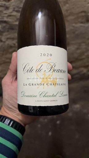 Burgundy Côte de Beaune Domaine Chantal Lescure La Grande Chatelaine 2020
