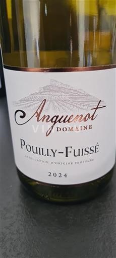 Burgundsko Pouilly-fuissé Domaine Anguenot 2024