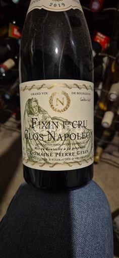 Borgoña No especificado Premier Cru Domaine Pierre Gelin Clos Napoléon 2019