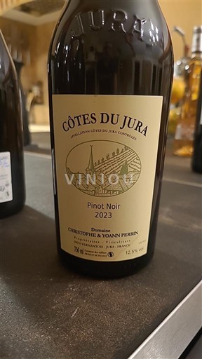 Jura No se traduce. Domaine Christophe & Yoann Perrin Pinot Noir 2023