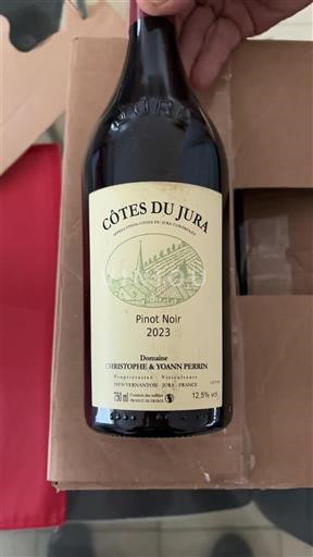 Jura Côtes-du-jura Domaine Christophe & Yoann Perrin Pinot Noir 2023