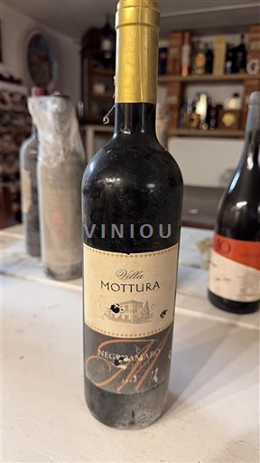Puglia Salento Mottura Villa Mottura 2006