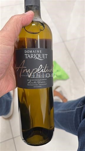 Південний Захід Кот-де-Гасконь Domaine Tariquet Amplitude 2022