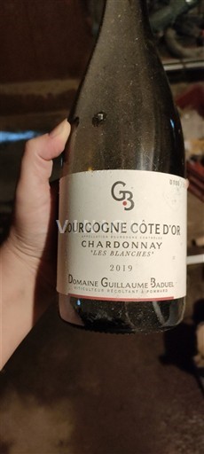 Bourgogne Bourgogne Côte d'Or Domaine Guillaume Baduel Les Blanches 2019