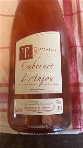Loire Valley Cabernet d'Anjou Domaine Terrebrune 2024