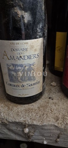 Thung lũng sông Loire Coteaux-de-saumur Domaine Des Amandiers Không niên vụ