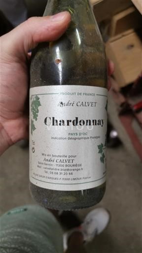 Languedoc và Roussillon Vùng đất Oc André Calvet Không niên vụ
