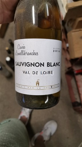 Dolina Loare La Chabossière Lamellibranches 2016