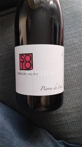 Loiren laakso Saumur-champigny Terres de Mallyce Pierres de Lave Ei vuosikertaa