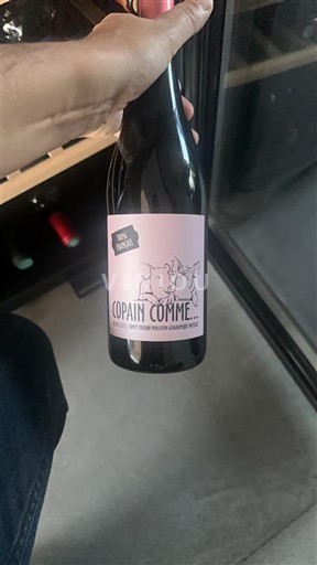 Beaujolais Domaine Saint-Étienne Copain Comme... Senza annata