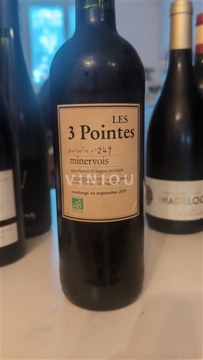 Langvedok Minervois Les 3 Pointes parcelle n°247 2019