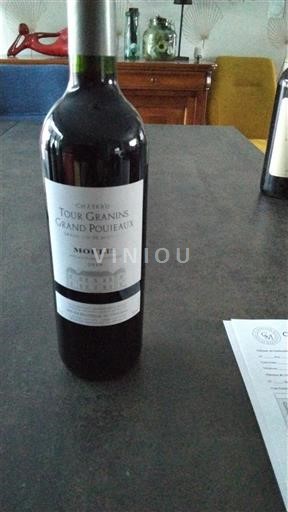 Vin Rouge sec Château Tour Granius Grand Poteaux 2016 France Bordeaux Moulis-en-Médoc AOC