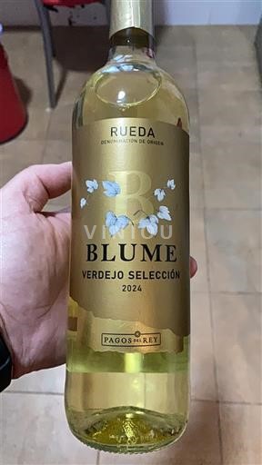 Castilien og León Rueda Pagos del Rey Blume Verdejo Selección 2024