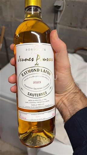 Bordeaux Sauternes Raymond-Lafon Jeunes Pousses 2023