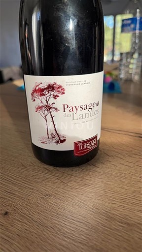 Tây Nam Tursan Tursan Paysage des Landes 2020