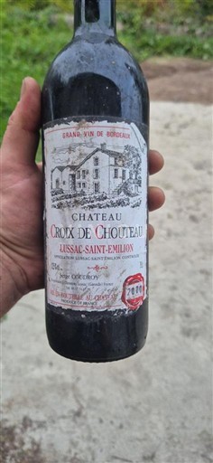 Bordeaux Lussac-saint-émilion Château Croix de Chouteau 2000