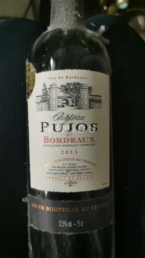 Vin Rouge sec Château Pujos 2013 France Bordeaux AOC