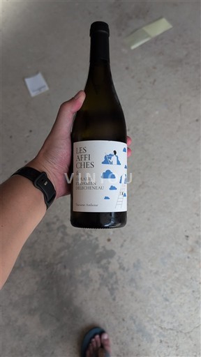 Thung lũng sông Loire Touraine-amboise CORALIE ET DAMIEN DELECHENEAU Les Affiches 2020