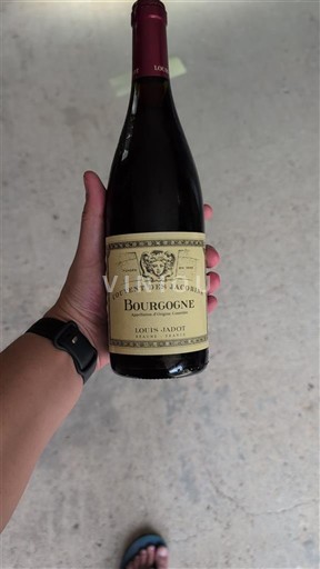 Bourgogne Louis Jadot Couvent des Jacobins 2014