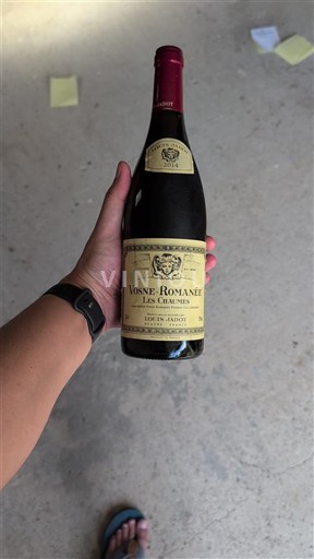 Burgundy Vosne-Romanée Louis Jadot Les Chaumes 2014